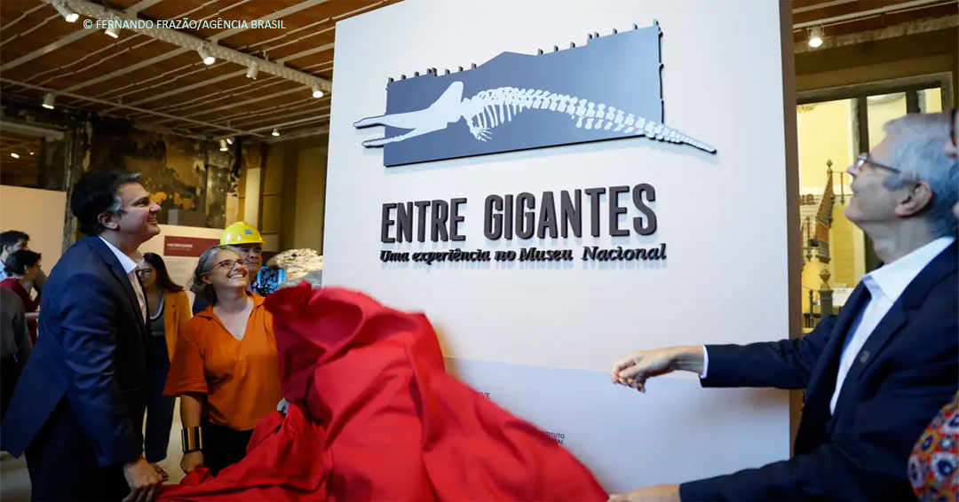 Cultura – Museu Nacional do Rio reabre para exposição sete anos após incêndio