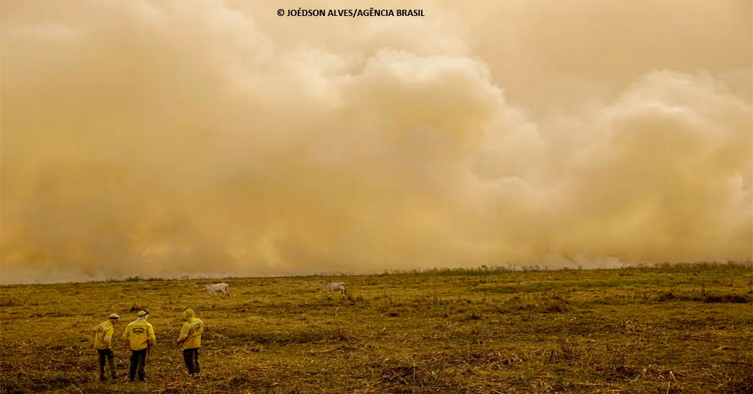 Calor já mata meio milhão de pessoas por ano, alertam cientistas