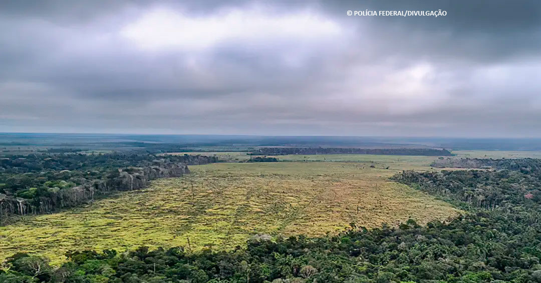 Sociedade civil vê retrocesso grave em queda de vetos de PL Ambiental